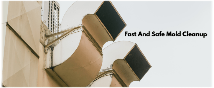 Air Duct Mold Removal in Katy