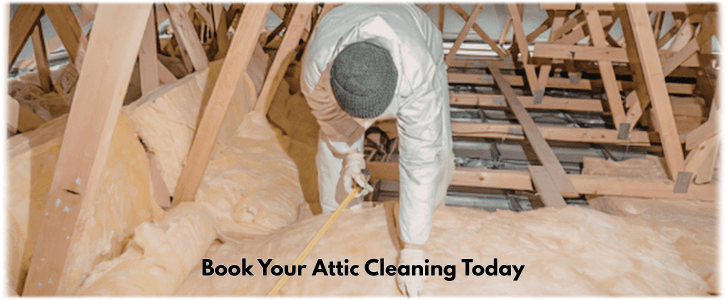 Attic Cleaning Katy